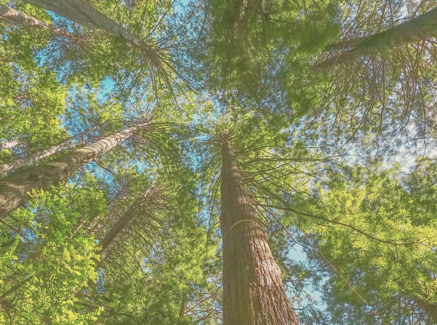 naturaleza